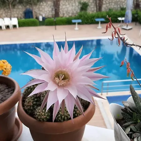 Genis Apartment Izmir